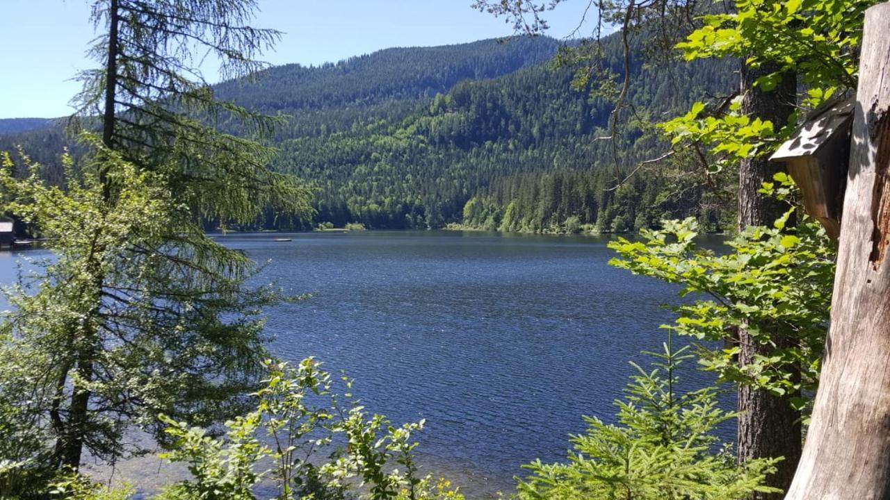Grimmingblick - Auszeit Vom Alltag Apartment Obersdorf